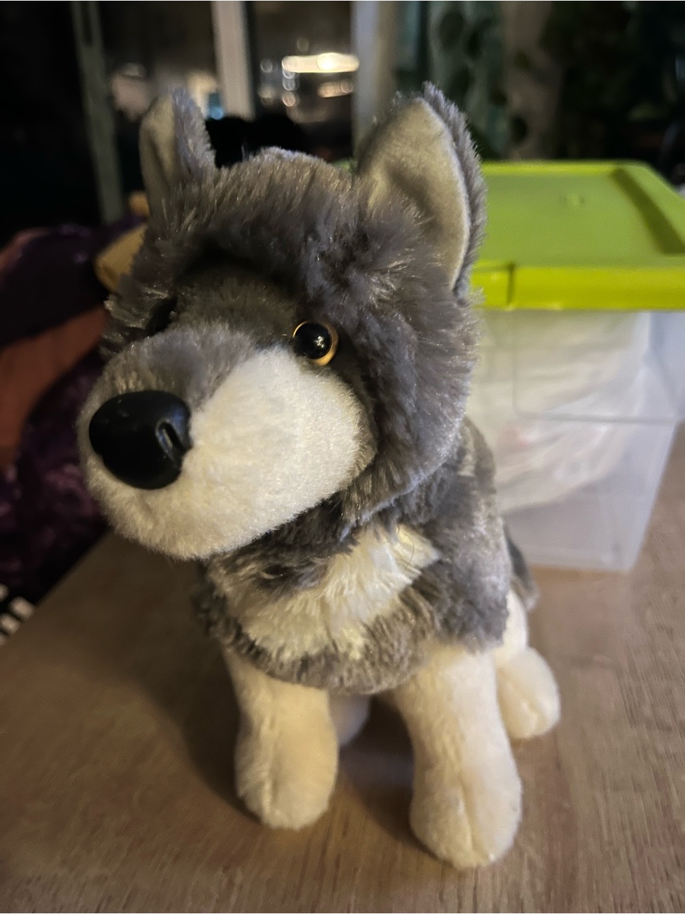 Grey and Cream Plush Husky Stuffed Animal - Soft Cuddly Toy